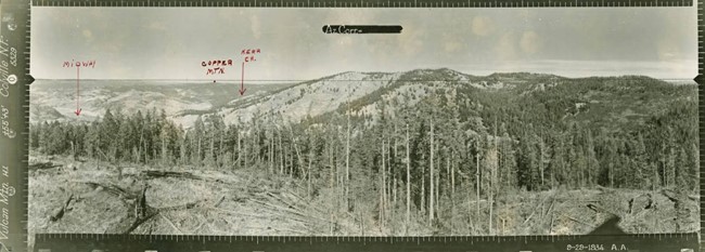 Vulcan Mountain Lookout panoramic 9-29-1934 (N)