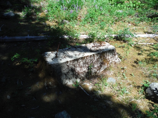 Fish Lake Lookout site