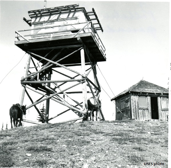 Polallie Mountain Lookout 1965
