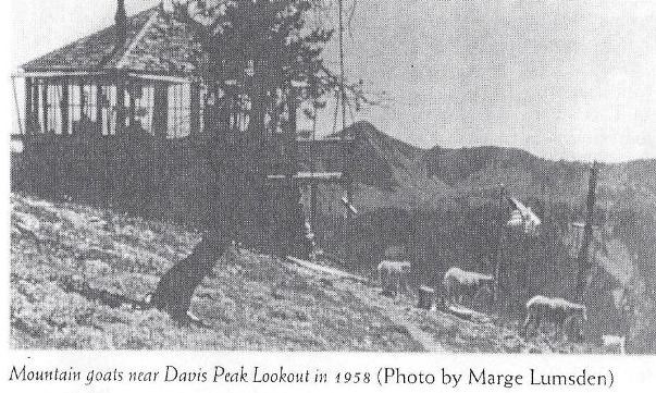 Davis Peak Lookout 1958