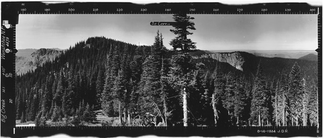Big Creek Lookout panoramic 8-14-1934 (SW)