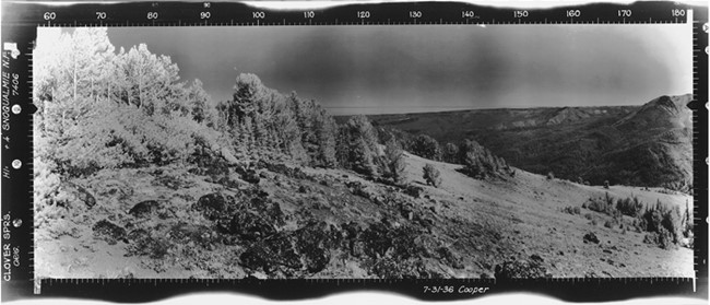 Clover Springs Lookout panoramic 7-31-1936 (SE)