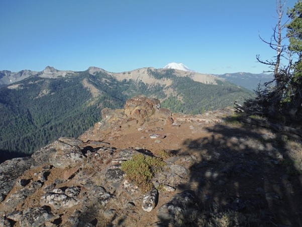 Clover Springs Lookout site