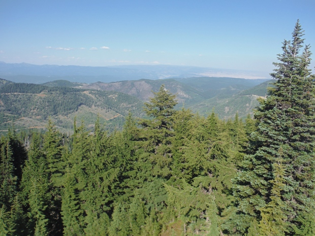 Lookout Mountain Lookout site - view Northeast