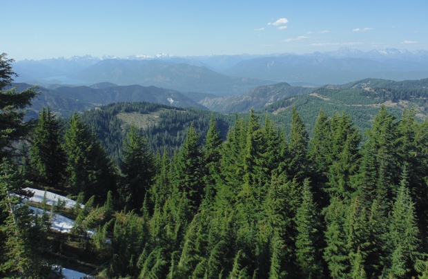 Lookout Mountain Lookout site - view North