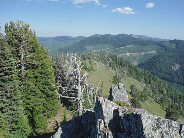 Lookout Mountain Lookout site - view Southeast