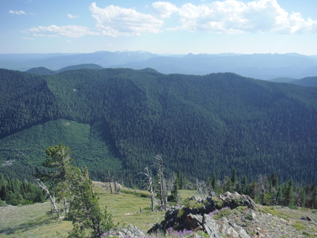Lookout Mountain Lookout site - view South