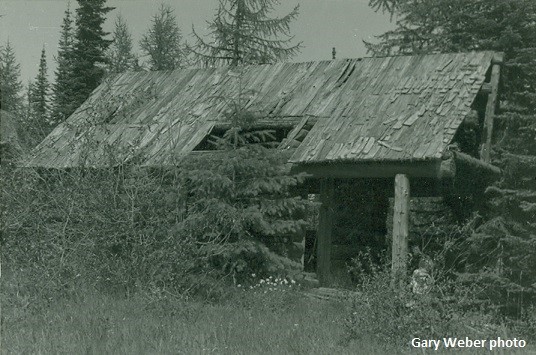 Kalispell Rock Lookout site 1982