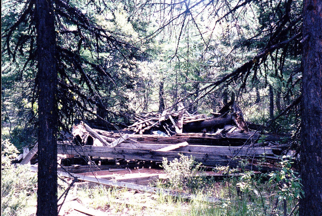 Green Mountain Lookout site June 1989