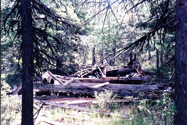Green Mountain Lookout site June 1989