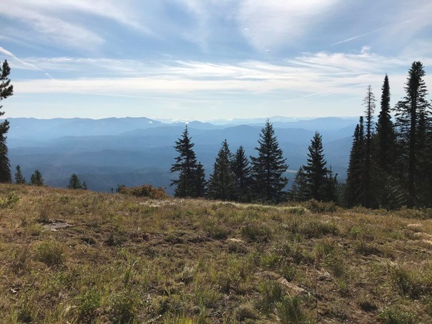 Ojibway Knoll Lookout site - view east