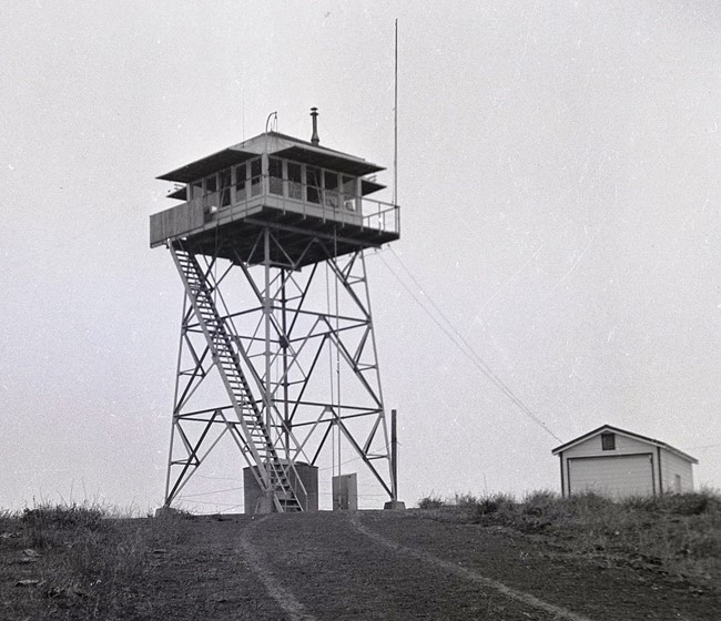 Gilman Peak Lookout - 1955