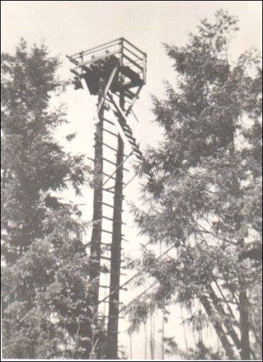Cedar Mountain Lookout 1940s
