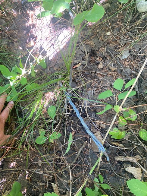 Structure Debris