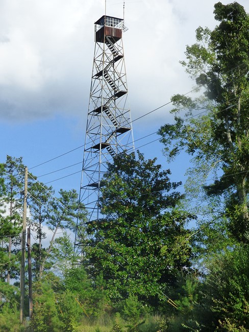 Searles Lookout Tower - 2016