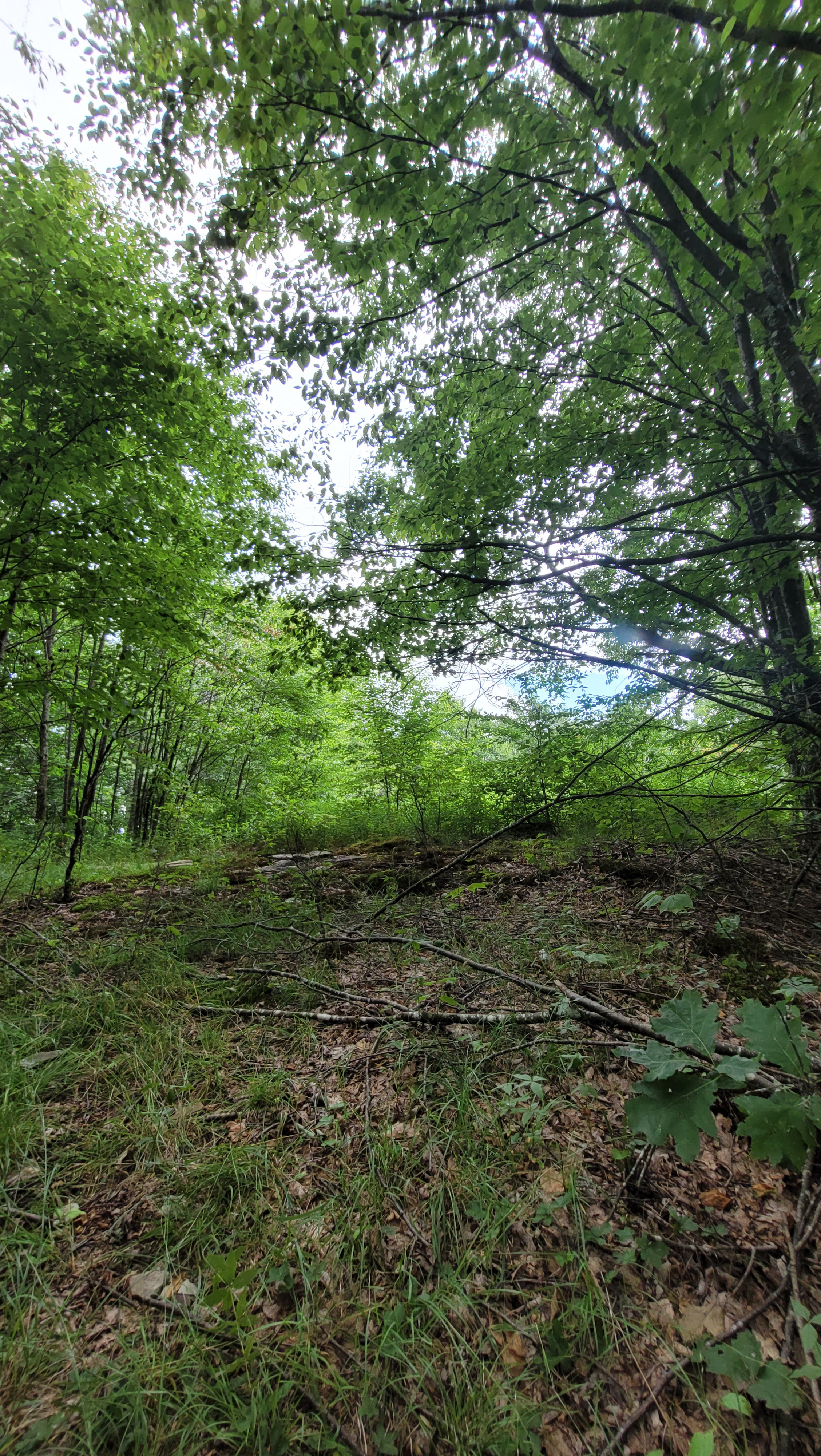 Tower site in July 2022