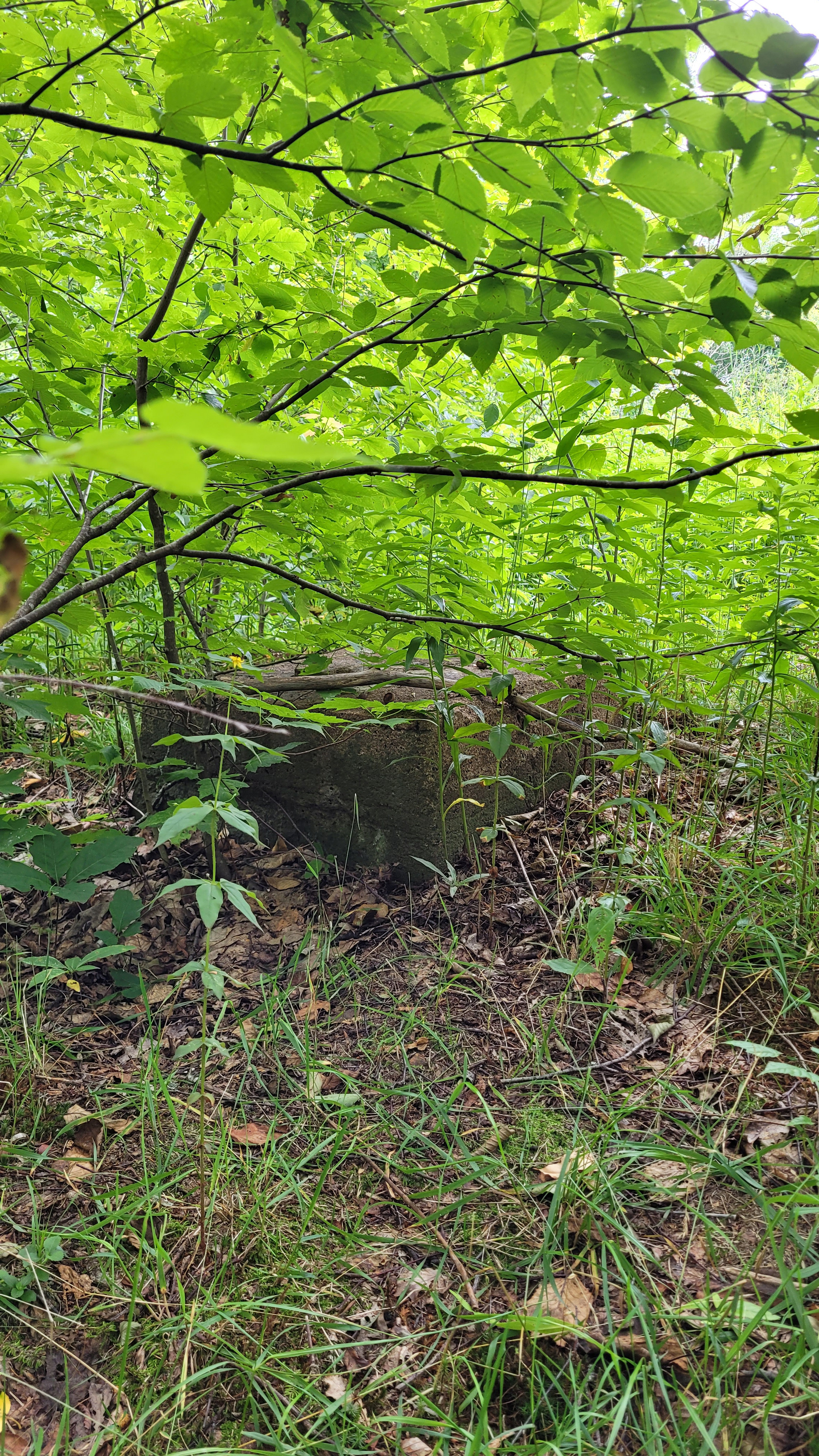 Footings in July 2022