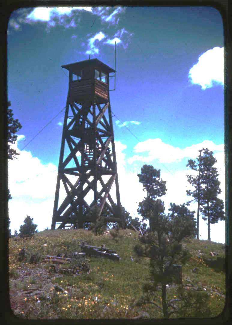 U.S. Forest Service photo